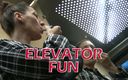 Lety Howl: Elevator Fun