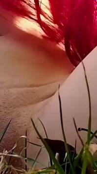 Sunny Day, Oil Squirt Massages a Whore Sunbathing in the Park