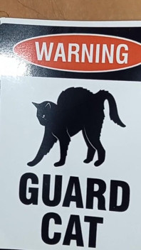 Hairy Pussy