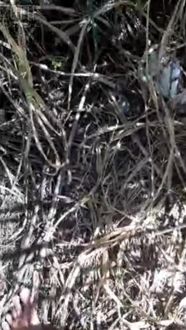 Prezottes_House: 在这里，你会找到一种方法来保持你的