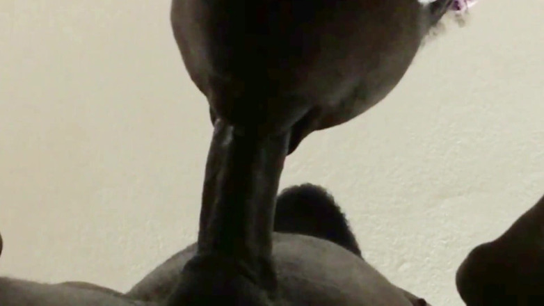 Wildwood21519: Close up Deepthroat