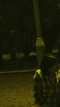Slut Public Blowjob in Park