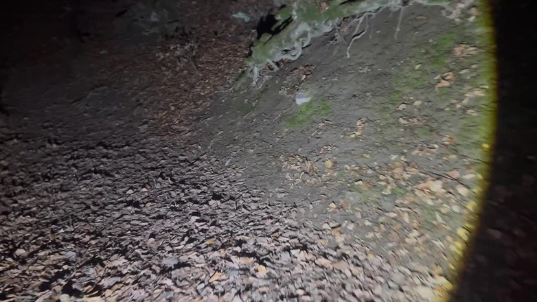 Putarankahotmilf: Escursioni notturne e asporto la maggior parte dei miei vestiti