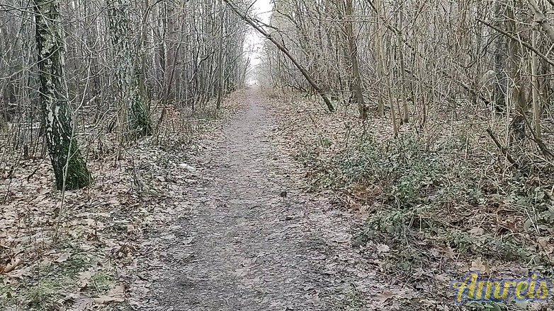 Amreis: 정액을 위한 장소가 필요해! 2부