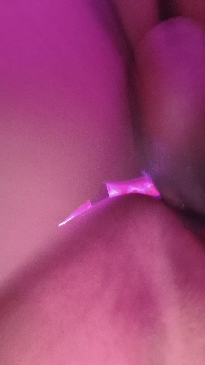 AngyAmazon: Fucking with New Bull in Doggy Style Without Condom