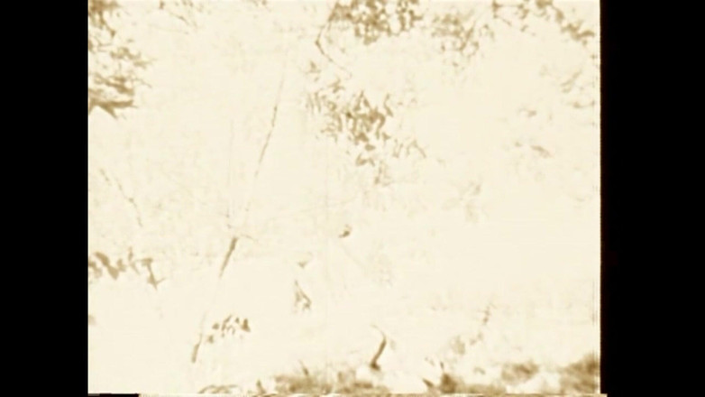 The Unforgettable: 풀이 타는 잎사귀 위에서