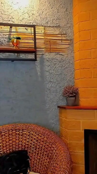 Blowjob Sex in the Room in Live Video