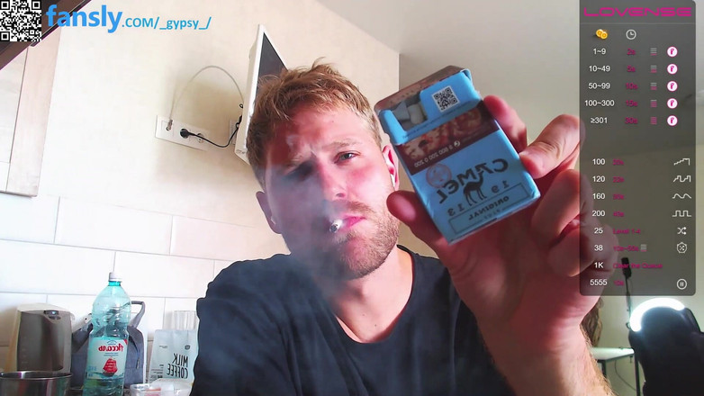 Gypsy model: Min nya heta rök