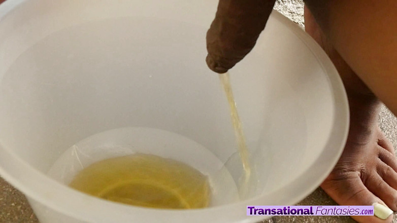 Transational Fantasies: Krásná ebenová trans holka čůrá