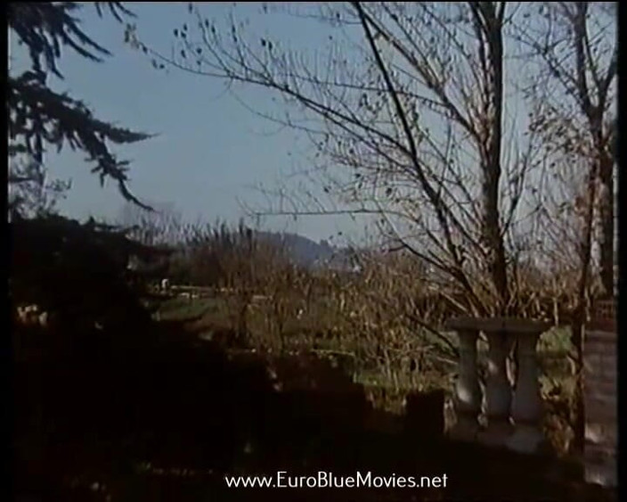 Euro Blue Movies: Infinitamente Porr (1994)