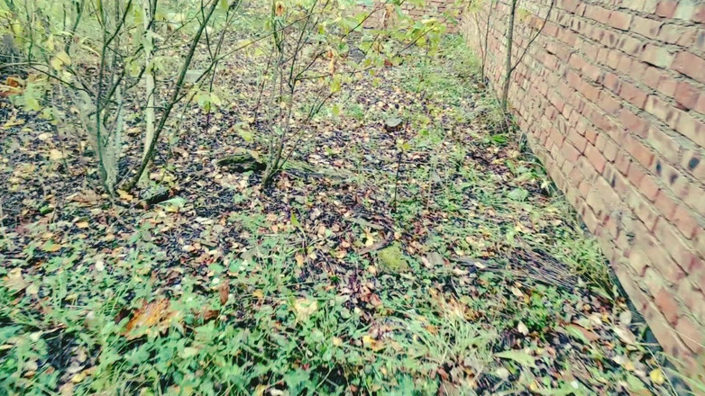 S-Wife Katy: Dia satu-satunya gadis di masa depan pasca kiamat, semua orang...