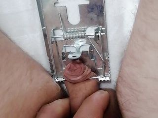 Adashah: Small penis and mouse trap. Cbt BDSM solo