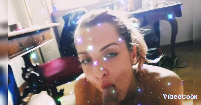 Stoyca: ステージに戻ったストイカ