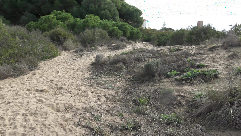 Stepmom Susan: Fiul meu vitreg mă urmează pentru a vedea cum mă...