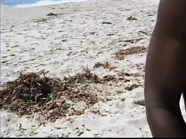 CBD Media Interracial: Busty cute young ebony having sex with her bf on...
