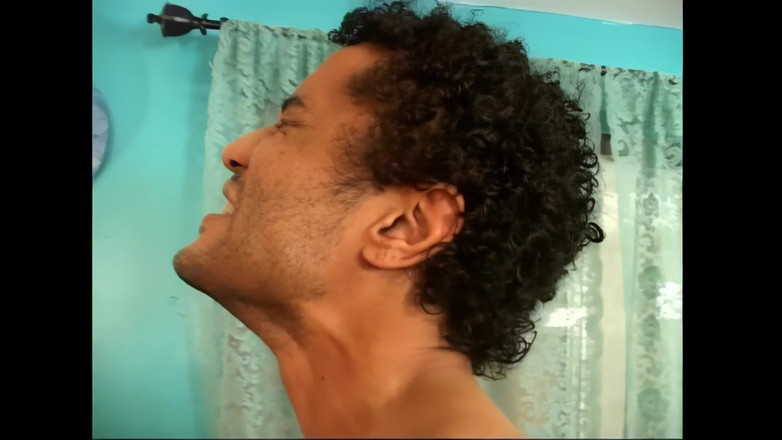 American Idol X: Szaleństwo na punkcie penisa