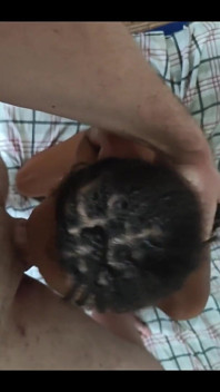 Submissive Pleasing Her Master with a Blowjob