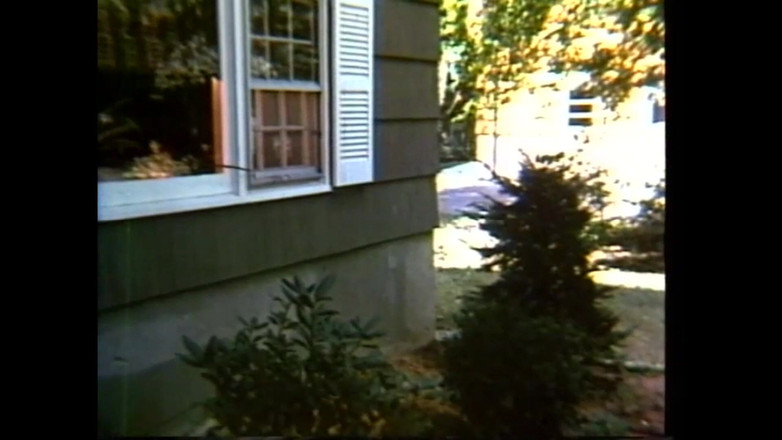 Vintage Megastore Full hd: 서로 레즈비언