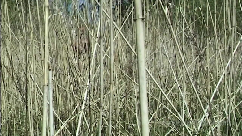 Sextermedia by Pete: Nude MILF Masturbating Outdoors