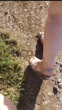 Caminata naturista por el bosque