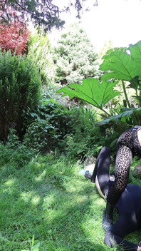 Wild Pegging