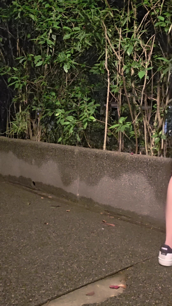 Taiwancdgirl: 伪娘婷萱在戴贞操锁外出，用假阳具让自己高潮