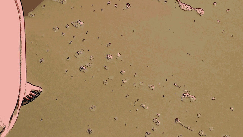 LaLaDelilah: Pies de playa