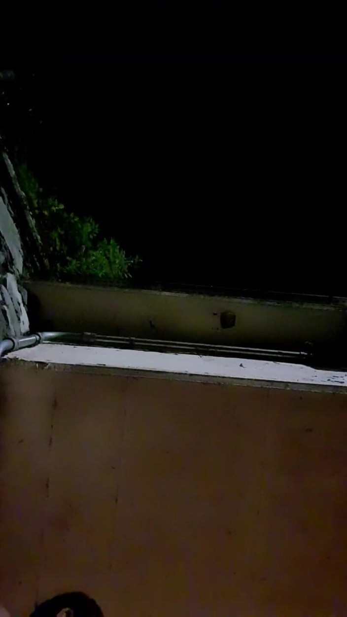 Slutboyben: Slutboyben Cam4 Sexy Cestovní Kočka II