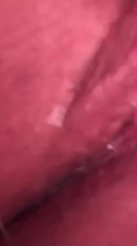 Pussy Close-up