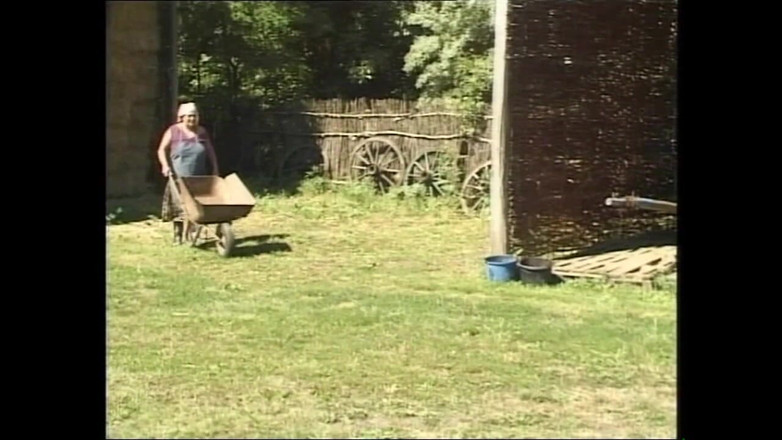 MMV films - The Original: Silvie Raz slog riktigt hårt av en enorm kuk!