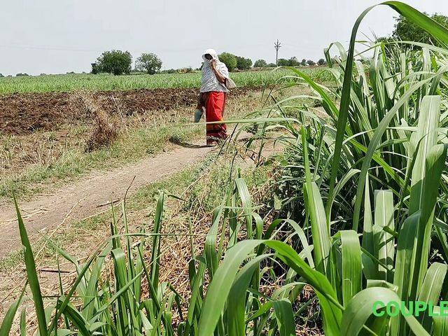 She Was Openly Washing Her Pussy in the Sugarcane Field (Couple gold xx)