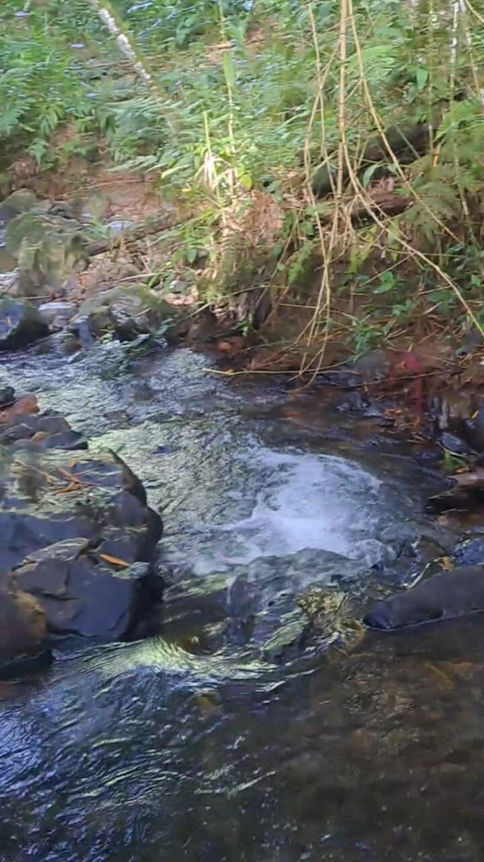 Valera Toro: Ormanda Sıcak Cum Patlaması