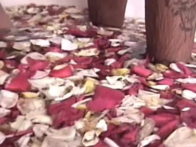 Shemales Tales: Dwa kawałki na zmianę tyłek jebanie szczupła latina Ladyboy