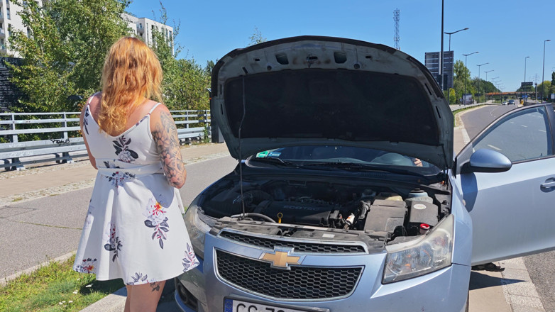 Bastet: My Car Broke Down. a Stranger Fixed It in Exchange...