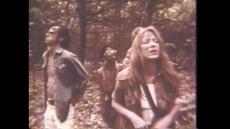 Vintage megastore: アンドレア・トゥルーと彼女のチーム・イン・ザ・フォレスト