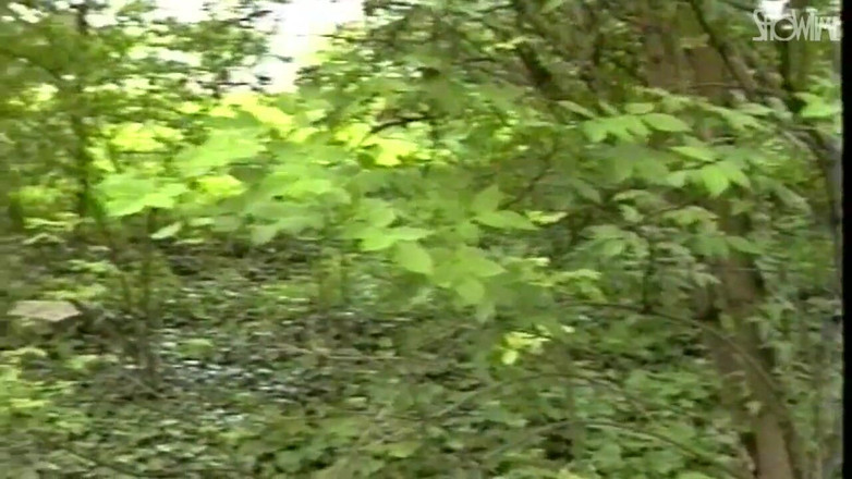 Showtime Official: Žádná intimita - celý film - italské video obnoveno v HD