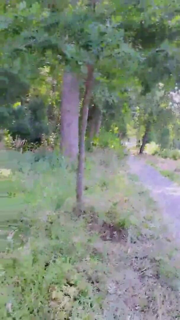 Slutboyben: Salopeboyben cam4, cochon exhibitionniste méga sexy