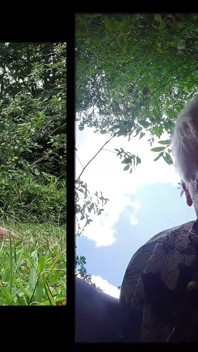 Pastel et Rex baisent dans le meadow