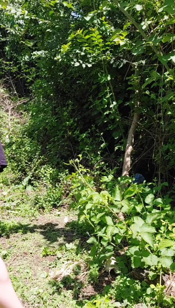 Kitty_Cross: Stříkání do zahrady velký penis žhavá velká nálož mrdky Sexy modelka...