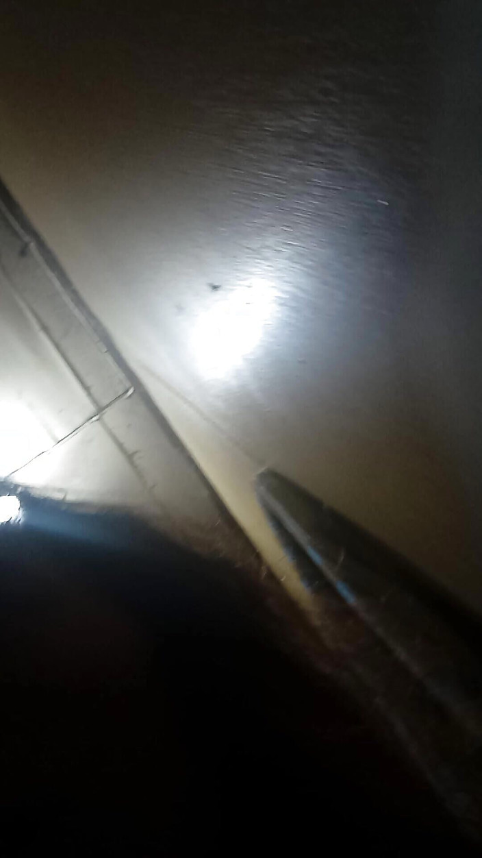 Reynaldo6: Просто пойди, Рейна, трахнули сегодня вечером