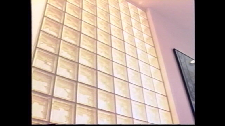 Vintage megastore: Un joven Rocco se a una hermosa morena