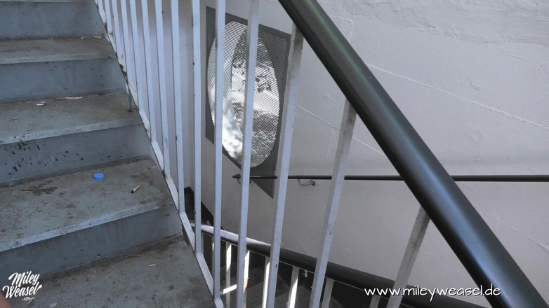 Miley Weasel: 他在户外操了我！！