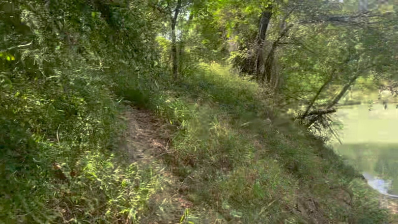 MaxArcane: Mój chłopak pieprzy mnie w lesie i kremówki mnie