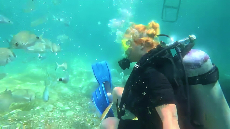 JessieHH: Підводне плавання в Туркіє! Безкоштовний