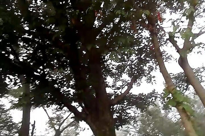 Gangbang straight: 밭에서 자위하는 Priyansu의 소년