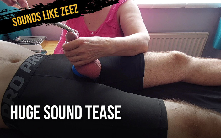 Soundslikezeez: Usikan bunyi yang besar