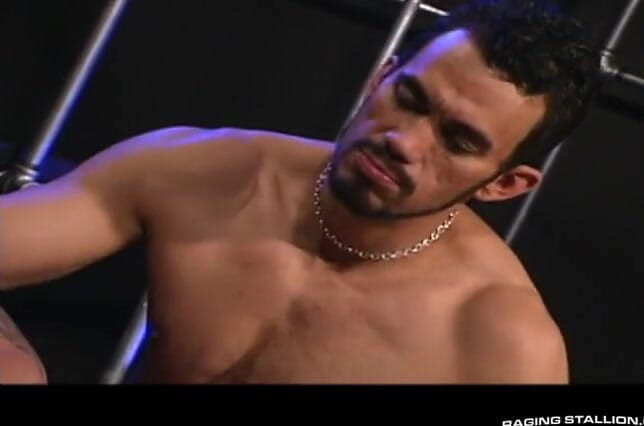 Raging Stallion: Plexus