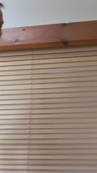 Older Brunette Gets Double Penetrated and Assfucked