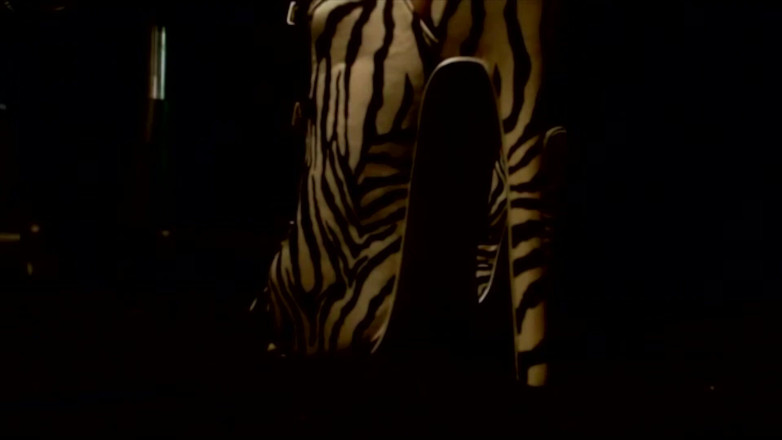 The Goddess Simone: Sexy zebra high heels