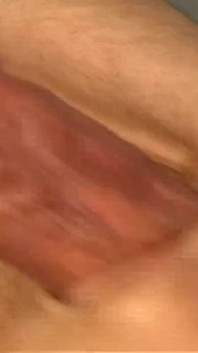Cockosaurus